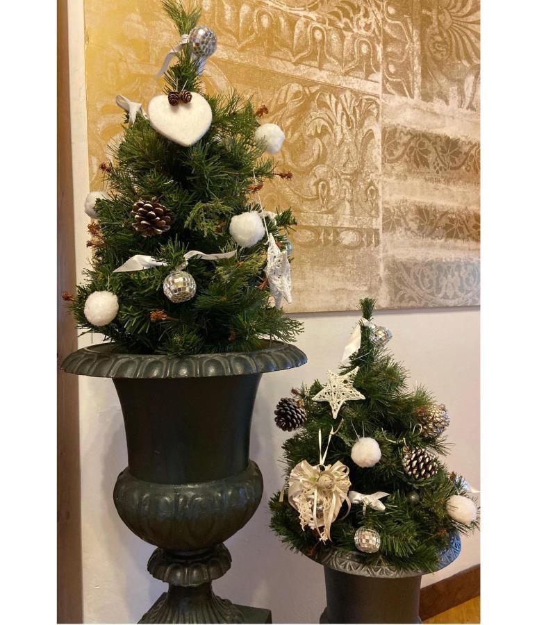 Albergo Garni Cavento Pinzolo Luaran gambar